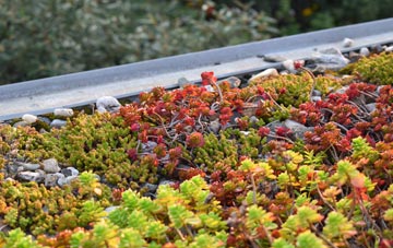 the cost of Bradwell Common green roof installation