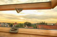 rated Bradwell Common roof window companies